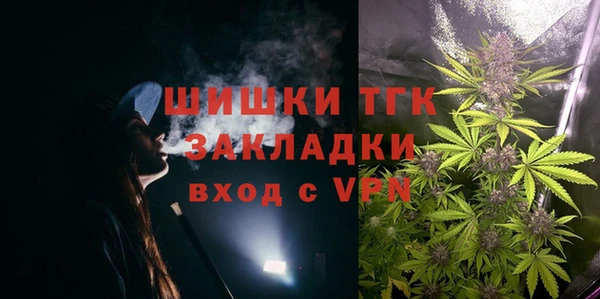 индика Вязники