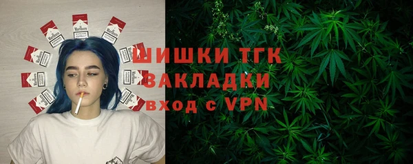 индика Вязники