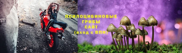 хмурый Волоколамск